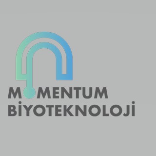 Momentum Biyoteknoloi