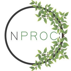 NPRO Danışmanlık